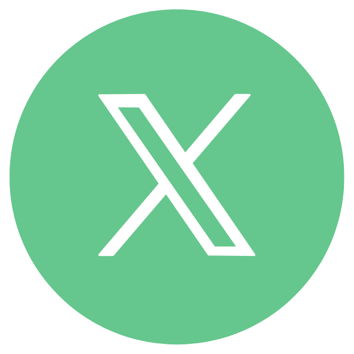 X (Twitter)